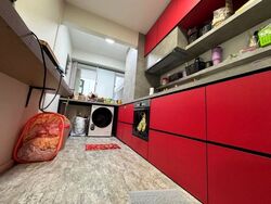 Blk 477B Hougang Capeview (Hougang), HDB 4 Rooms #633673421